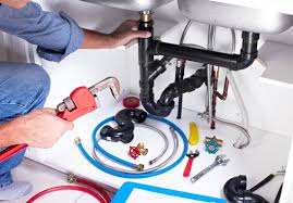 Best Residential Plumbing Services  in Foreman, AR